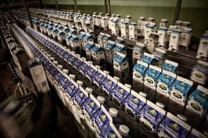 Rema 1000 har hævet mælkeprisen for at hjælpe landmændene. Coop vil gå en anden vej.