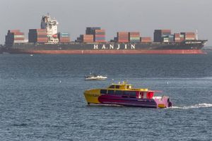På fredag lukker og slukker Hanjin Shipping Co. efter at ligget undrejet i lang tid. Kreditorerne skal ikke forvente at få deres tab dækket. Foto: Damian Dovarganes/AP