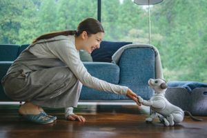 Sony has reintroduced Aibo, its robotic dog, to the U.S. market. MUST CREDIT: Courtesy of Sony