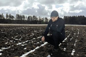 Lego-familiens pengetank Kirkbi vil bruge 2 mia. kr. på at opkøbe landbrugsjord og plante en skov svarende til Amager eller to gange Fanø.