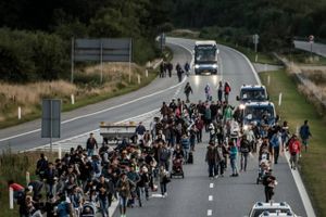 Forskning konkluderer, at asylstramninger og -lempelser påvirker antallet af asylsøgere til de europæiske lande. Men det er ikke klart, hvilke stramninger der har den største effekt. Mandag opjusterede Rigspolitiet sit skøn over, hvor mange flygtninge og migranter der er kommet til Danmark siden søndag den 6. september til 5.800 – kun en mindre del har søgt asyl i Danmark. Foto: Michael Drost-Hansen