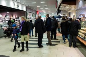De danske forbrugere satser i nogle situationer på den rene pris, i andre vægtes specialbutikkernes viden. Foto: Jan Dagø