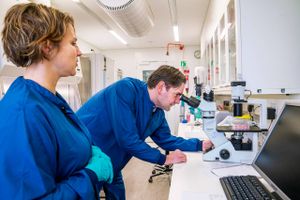 Aarhus Universitet og en række store medicinalselskaber går nu sammen i et helt nyt samarbejde. Håbet er, at det kan blive en genvej til nye lægemidler.