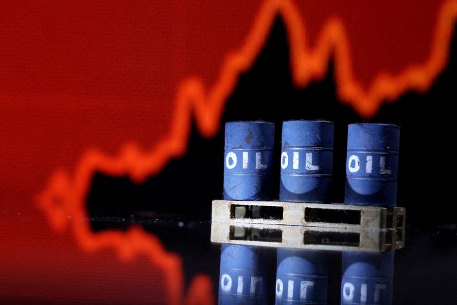 Gennem sine handlinger tvinger Opec oliepriserne op. Nu vil tysk professor have organisationen dømt for kartelvirksomhed, og kræver en erstatning på 370 kr. Foto: Reuters/Dado Ruvic