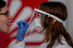 Der testes som aldrig før for coronavirus, da smittespredningen globalt set fortsat er meget høj. Foto: AP/Michael Probst