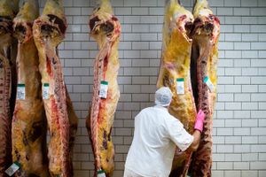 Skare Meat Packers har en politianmeldelse hængende over hovedet og har frist på tirsdag til at dokumentere, hvor 256 tons kød kommer fra.