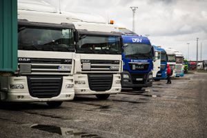 Østeuropæiske lastbiler på en parkeringsplads i Padborg. I denne uge begynder en sag ved EU-Domstolen om danske særregler, der er indført for at forhindre udenlandske lastbilfirmaer i at tage transportopgaver her i landet. Arkivfoto: Mikkel Berg Pedersen