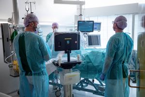 Uden restriktioner havde epidemien presset sundhedsvæsenet til sammenbrud, vurderer Lone Simonsen, professor i epidemiologi ved Roskilde Universitet.