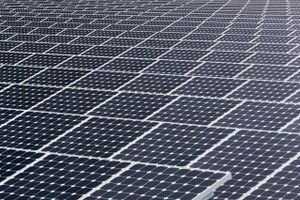 37.000 solpaneler er der i NextEra Energys solenergianlæg Space Coast Next Generation Solar Center på Merritt Island i Florida. Foto: AP/John Raoux  