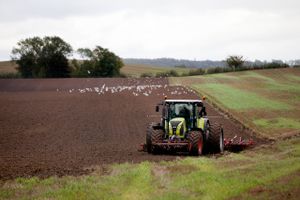 EU's landbrugsstøtte bliver grønnere, og der bliver mindre af den. Sådan er udsigterne efter de seneste dages forhandlinger i Bruxelles.