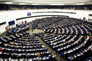 Europa-Parlamentet har foreslået et endnu større budget på 1,30 procent af bni, altså endnu mere end EU-Kommissionens oprindelige forslag på 1,11 procent af bni. Arkivfoto: Sara Galbiati