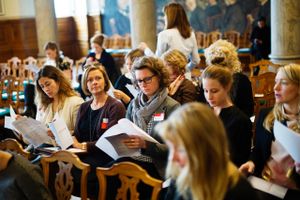 Netværket Kvindeøkonomien har sparket gang i en økonomisk kvindebevægelse med en konference på Christiansborg, der behandler kvinders økonomiske problemer. 