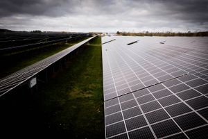 Af hensyn til klimaet og de galopperende strømpriser skal der så meget ny vedvarende energi op som muligt. Men når en solcellepark er klar, kan det tage årevis at få den tilsluttet nettet.