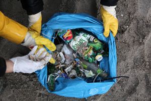 I de kommende år skal der indsamles endnu mere plast, og det skal genbruges. De danske bryggerier og tapperier vil øge mængden af genanvendt plast til 50 pct. i alle nye plastflasker inden 2025. Foto: Arkivfoto.