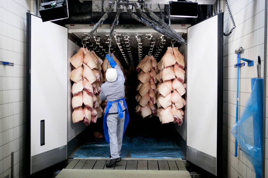 Efter nogle gyldne år er Danmarks eksport af svinekød til Kina styrtdykket. Det har efterladt hele branchen med dunkende, økonomiske tømmermænd.