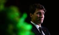 Justin Trudeau, Premierminister i Canada. Foto: AP/Sean Kilpatrick