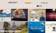 Go Dream er Danmarks største oplevelsesportal med en årlig trecifret millionomsætning og 40 ansatte. Screenshot.