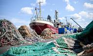 Danske fiskere mister kvoter for 1,2 mia. kr. som følge af brexit-aftalen. Nu kræver fiskerne erstatning for tabet, som også giver anledning til bekymring i bankerne, der har finansieret kvoterne
Foto:  Anita Graversen