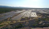 European Energy har bl.a. solparken Coremas i Brasilien, som har en effekt på 93 megawatt.  Foto: European Energy
