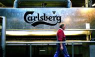 Carlsberg fusionerer sine britiske bryggeriaktiviteter med Marston's, og smitter efter alt at dømme positivt af på  helen gruppens resultater. Foto: Esben Nielsen
