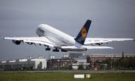 Tyske Lufthansa er blandt de fire store selskaber, der har sendt en appel til EU og USA om ensartede testregler og krav for flyvninger over Atlanten. Foto: AP/Axel Heimken