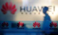 Huawei er et af Kinas største og mest succesfulde selskaber med 180.000 ansatte. Foto: AP