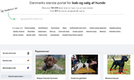 Fleggaard-familien er ikke længere medejer af Petimo, som står bag gipote.dk, der er Danmarks største portal for køb og salg af hunde. Foto: Screendump fra gipote.dk