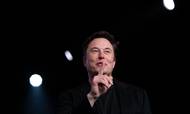 Elon Musk besøgte i weekenden Larry Ellison på Hawaii. De to techmilliardærer har begge valgt at forlade Silicon Valley for nylig. Foto: Jae C. Hong/AP