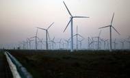 Tirsdag skal Wind Denmark, Brintbranchen og Dansk Fjernvarme have foretræde for Klima-, Energi- og Forsyningsudvalget i forbindelse med udvalgets behandling af lovforslaget. Foto: AP/Elizabeth Dalziel
