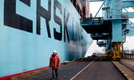 Foto: Mie Brinkmann
    Eleonora Maersk er et af verdens største containerskibe. Vi sejler med fra Rotterdam til Bremerhaven.