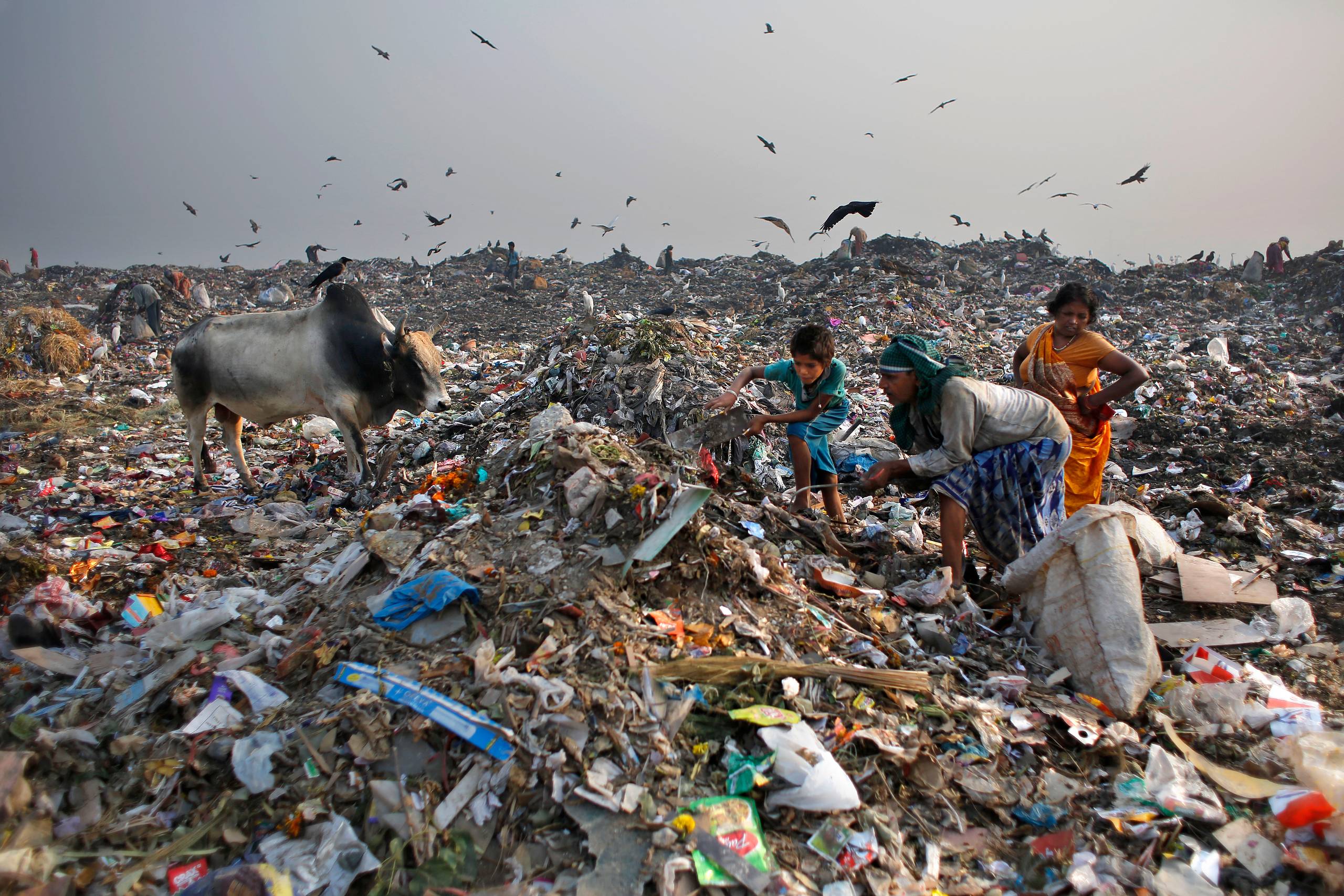 Foto: AP/Altaf Qadri