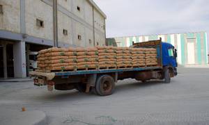 En lastbil triller ud med færdigpakkede cementposer produceret på den fabrik i Tunesien, som FLSmidth var med til at bygge efter at have accepteret en hemmelig aftale om at betale millioner under bordet. Foto: Jesper Høberg