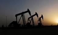 Olieindustrien har set et dyk i den globale olieefterspørgsel på grund af virusepodemien i Kina. Foto: Reuters/Nick Oxford