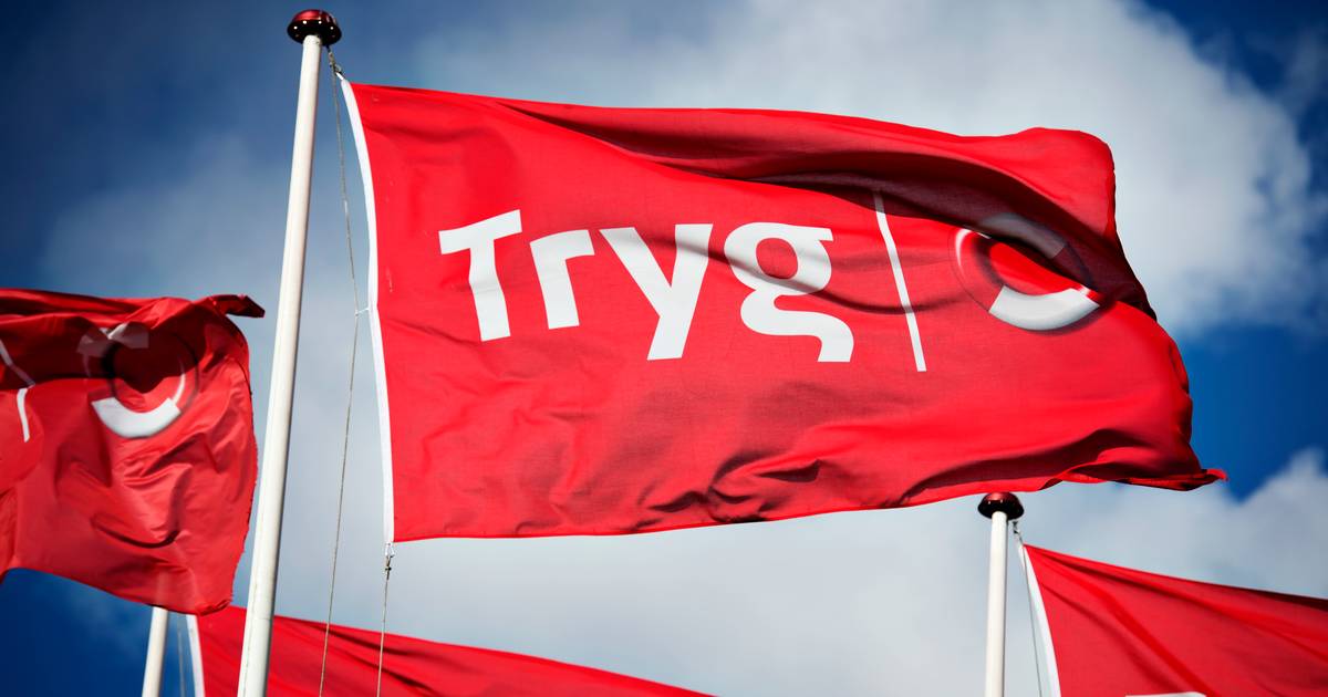 Tryg vil sammen med canadiere overtage Codan i milliardhandel - Finans