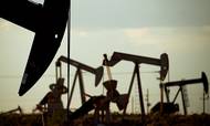 De største olieselskaber har netop præsenteret rekordhøje overskud ovenpå måneder med stigende brændstofpriser.. Foto: AP/Jeri Clausing