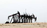 Olie- og gassektoren stod for lidt under 30 pct. af alle konkurserne i højt gearede lån i USA sidste år, viser tal ra S&P Global Market Intelligence. Foto: AP Photo/Hasan Jamali