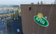 Arla er en af 47 danske virksomheder, der kan blive ramt, hvis Rusland lukker for gassen til Europa. Foto: JP