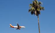 Der er flere fly i luften, men der er stor forskel på selskabernes comeback. Foto: AP/Armando Franca