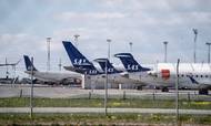 SAS fyrer 5000 medarbejdere på grund af Corona. Her er det parkerede fly i Københavns Lufthavn. Tirsdag 28. april 2020.