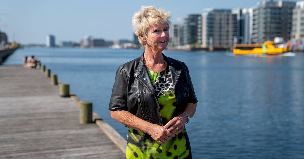 Lizette Risgaard undskylder for upassende opførsel