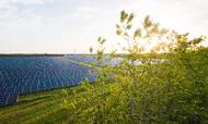 De første solcelleanlæg fra Better Energy er blevet finansieret med realkreditlån. Arkivfoto: Better Energy