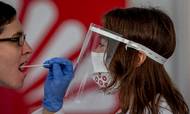 Der testes som aldrig før for coronavirus, da smittespredningen globalt set fortsat er meget høj. Foto: AP/Michael Probst