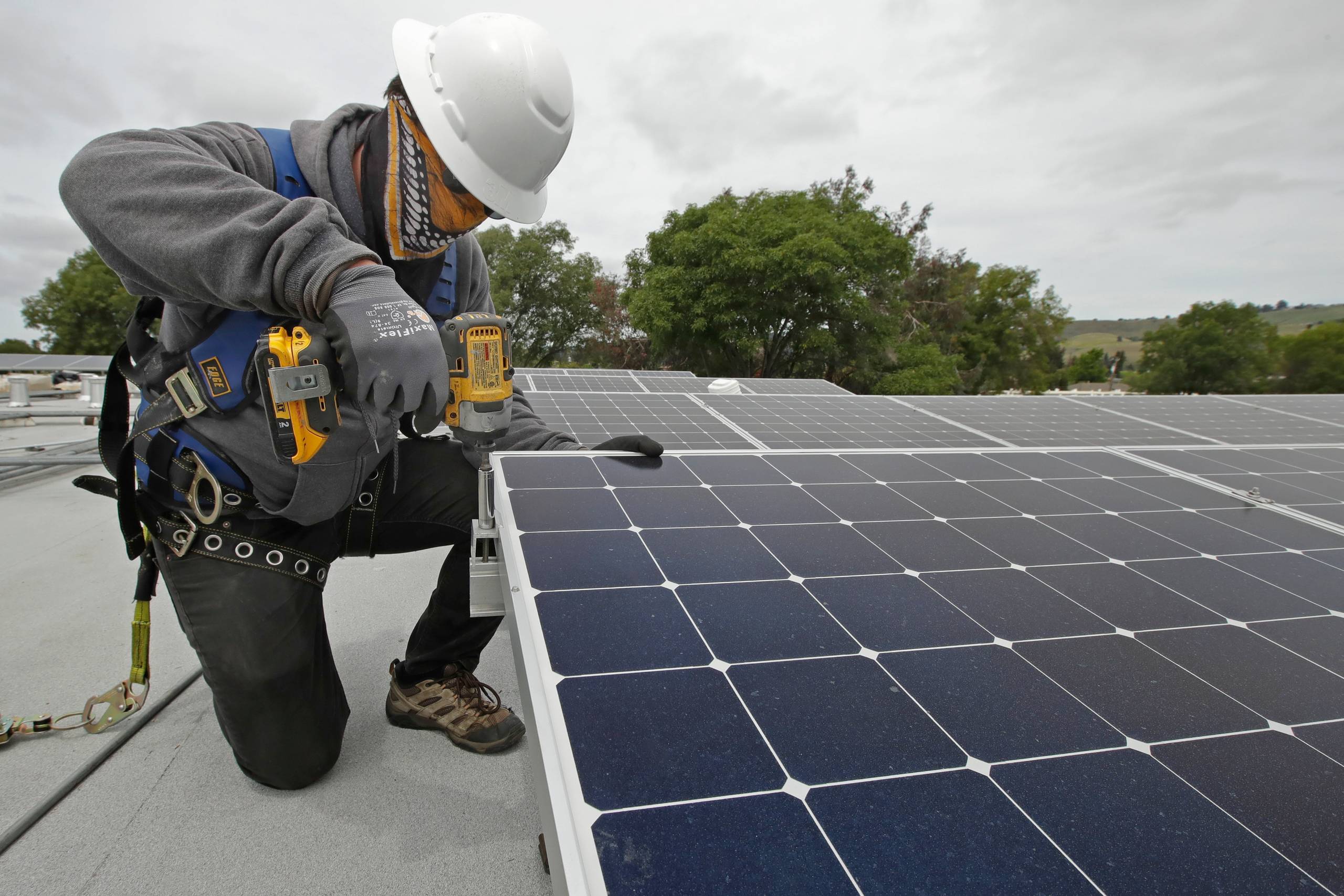 Solenergi er den helt store vinder, når det gælder vedvarende energi, mener IEA. Foto: AP/Ben Margot  