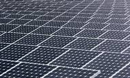 37.000 solpaneler er der i NextEra Energys solenergianlæg Space Coast Next Generation Solar Center på Merritt Island i Florida. Foto: AP/John Raoux