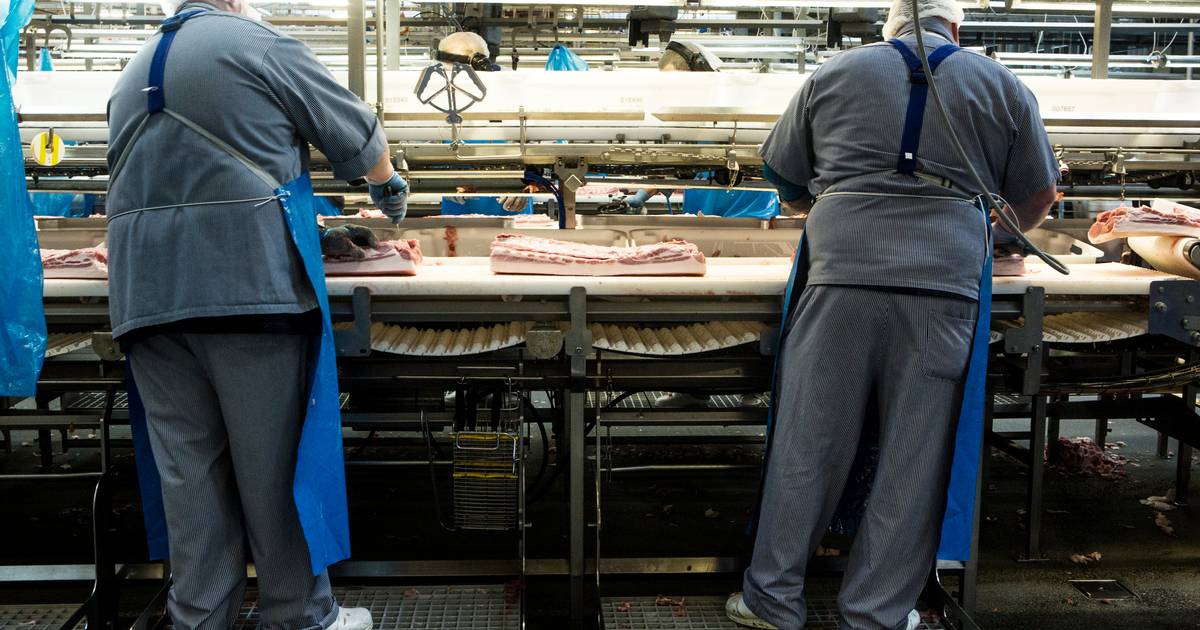 Produktionen styrtdykker på danske slagterier - Finans
