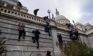 Den 6. januar i år stormede en større gruppe personer kongresbygningen i Washington D. C. Politiet har efterretninger om, at en gruppe har planer om at gøre noget lignende igen den 4. marts. De nærmere detaljer om efterretningerne har politiet ikke delt. Foto: Washington Post/Michael Robinson Chavez