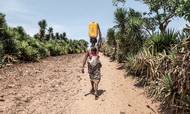 Mandag er World Water Day, som sætter fokus på vandmangel rundt om i verdenen. På billedet er en kvinde fra Madagascar, som henter vand.  Dagen benytter Unicef til at annoncere et samarbejde i Tanzania med Grundfos-fonden. Foto: Unicef/Andrianantenaina