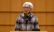 Christine Lagarde, ECB-chef, er ude i en svær balancegange mellem due og høge på torsdagens møde.  Foto: Bloomberg photo by Thierry Monasse