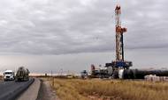 Står det til IEA, skal al efterforskning efter nye olie- og gasforekomster indstilles. Foto: Reuters/Nick Oxford