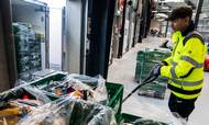 Supermarkedskæden Føtex under Salling Group har i år etableret hjemmelevering af dagligvarer købt online. I første omgang gælder det i Storkøbenhavn, hvorfra varer distribueres fra koncernens lager i Ishøj. Foto: Stine Bidstrup.